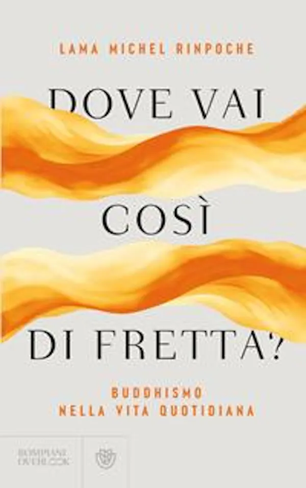 Copertina di Dove vai così di fretta?