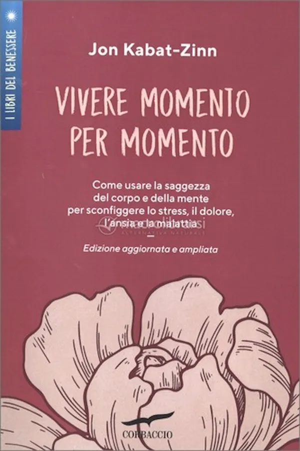 Copertina di Vivere Momento per Momento